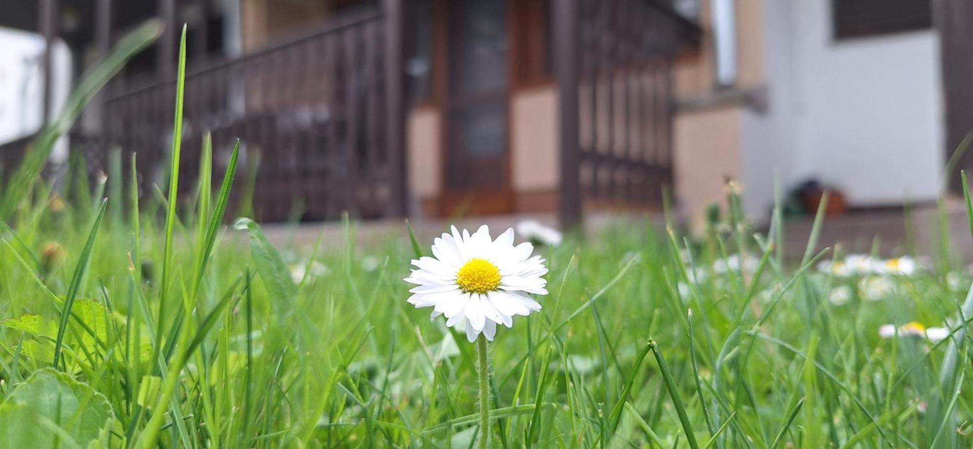 For You Apartman Gyula Dış mekan fotoğraf
